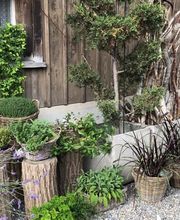 Blueme Werkstatt R. Fässler Bild 4