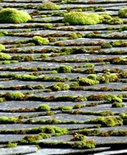 Jörg GmbH Bedachungen + Fassaden Bild 6