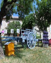 Les Lavandes de Champelle image 3