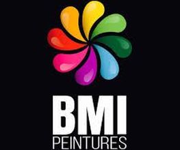 BMI Peintures image 1