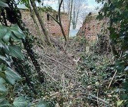 Roye Garden image 14