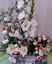 Il Etait Une Fleur image 8