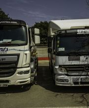 Transportes Reynés imagen 9
