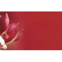 Physiotherapie Leinfeld Claudia Müller