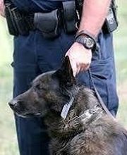 IDS Isere Drome Securite image 3