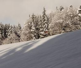 Berghotel Schlossanger Alp Bild 20