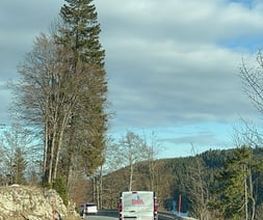 Suisse Déménagement SARL Bild 4