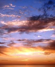 Bestattungsdienst Hedy Linder-Walther AG Bild 2