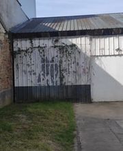 Baum élagage image 9