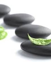 Paradis des Dames SARL image 3