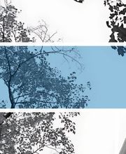 FBT Avocats SA Bild 1