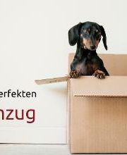 AST-Trans GmbH | Umzug, Transport & Reinigung Aargau Bild 17