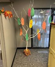 Come visit our thankful feather tree we made with our Bright Futures Harrisonville classroom partners Mrs Mitchell class!