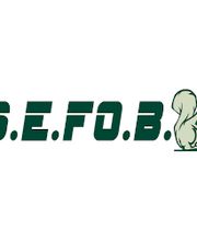 S.E.F.O.B image 2