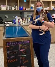 Bedford Oaks Family Vet image 13