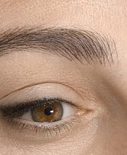 MICROPIGMENTACION-CEJAS-PELO-A-PELO-ERRENTERIA-GUIPUZKOA.jpg