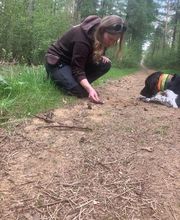 Wildnisschule WildnisWelt Bild 5