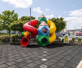 Shell Bild 9
