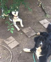 Martin Hofmann Bild 13