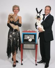 Spectacles et Animations Gilles RIGOLI image 10