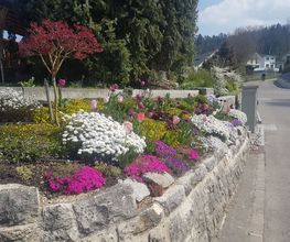 Nyhof Gartenbau AG Bild 7