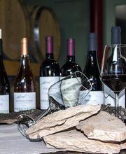 Gallery Professionale