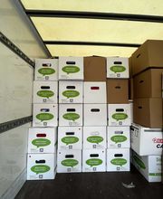 Sorglos Umzüge & Entrümpelungen Bild 12