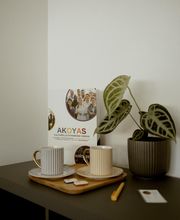 Akoyas Clermont-Ferrand image 4