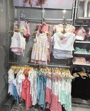 Orchestra BERCK image 8