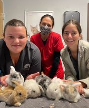 Nicholasville Road Animal Hospital image 1