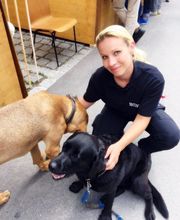 M-Protection Security Bild 2