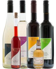 Villa Hausmann - Urlaubsweingut bei Cochem an der Mosel Bild 2