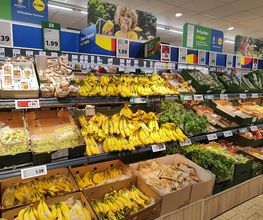 Lidl Bild 4