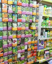 Natera - Vezins image 1