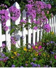 Heiman True Value image 6