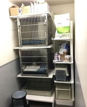 Duvivier Sophie image 20