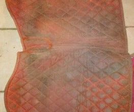 Equi'lavage image 2