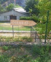 Canin Félin Toilettage image 13