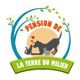 Pension de la Terre du Milieu