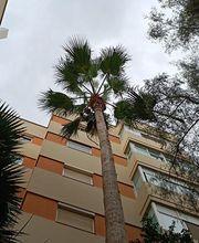 Jardinería Juan García imagen 5