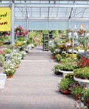 Baumschule Wassermann Bild 2