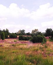 LaVital Sport- und Wellnesshotel - Horst Krebs Bild 15