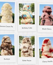 Handel's Homemade Ice Cream image 8