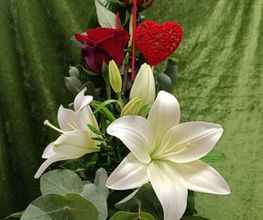 Blumen-Ecke Romana Hoss Bild 9