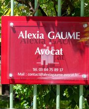 Gaume Alexia image 1