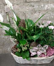 Au Petit Jardinier image 11