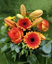 Blumen-Ecke Romana Hoss Bild 10