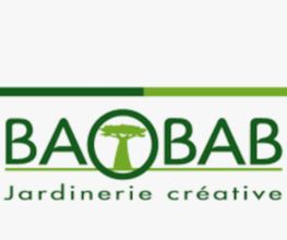 Baobab SARL image 2