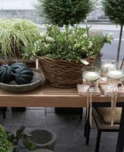 Blumengalerie Mattmann AG Bild 1