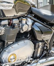 Triumph Bordeaux image 7